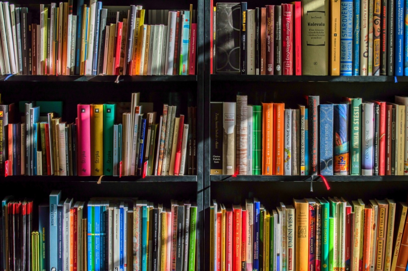 magasin-ST MANDRIER SUR MER-min_books_bookstore_book_reading_shop_writer_sale_books_read-822866